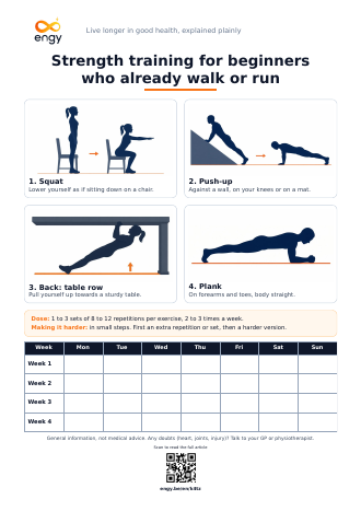 Exercise sheet: strength training for beginners