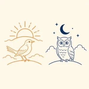 Lijnillustratie van een leeuwerik bij zonsopgang en een uil onder de maan